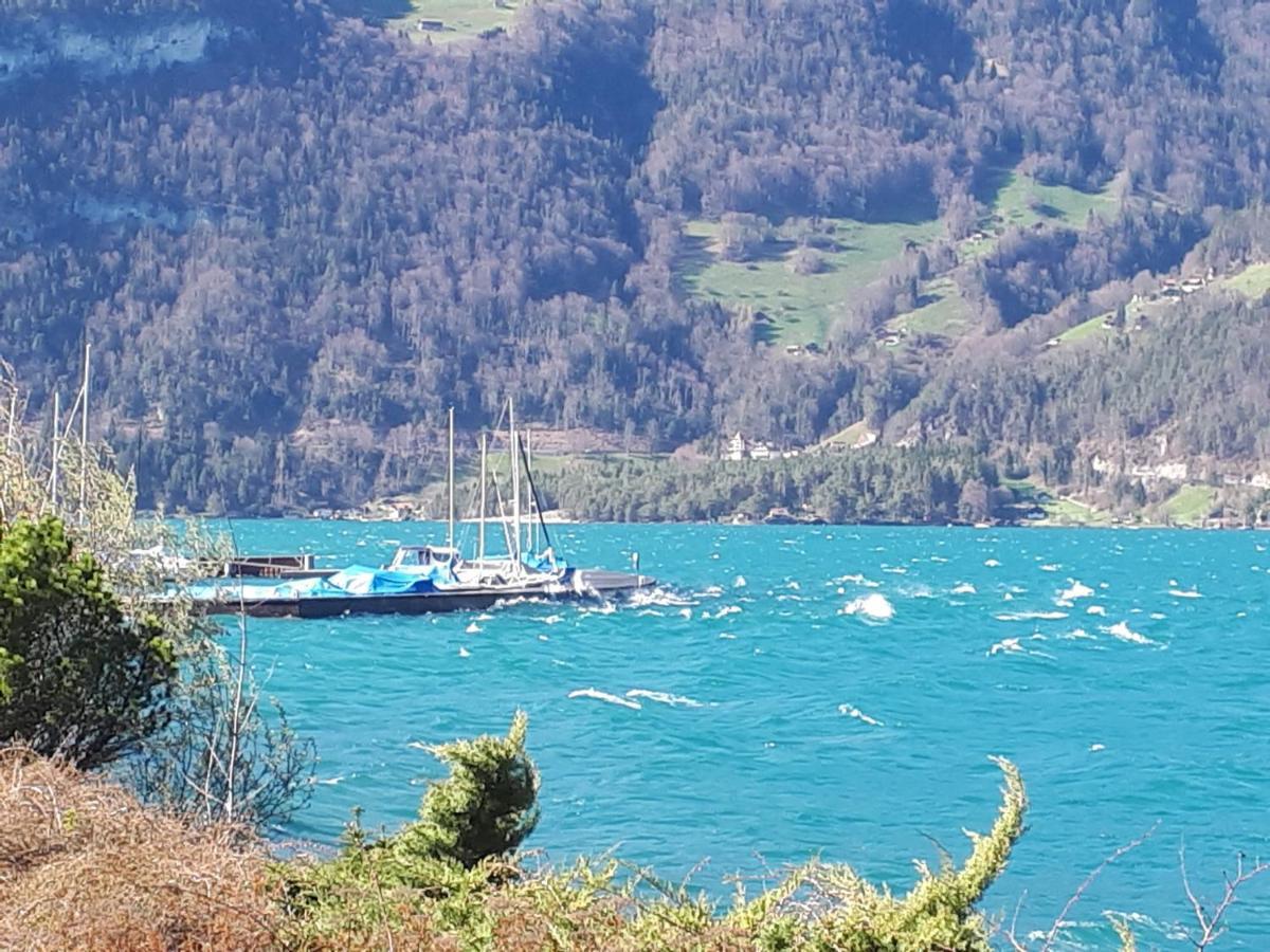 Berner Oberland Am Thunersee Därligen Extérieur photo